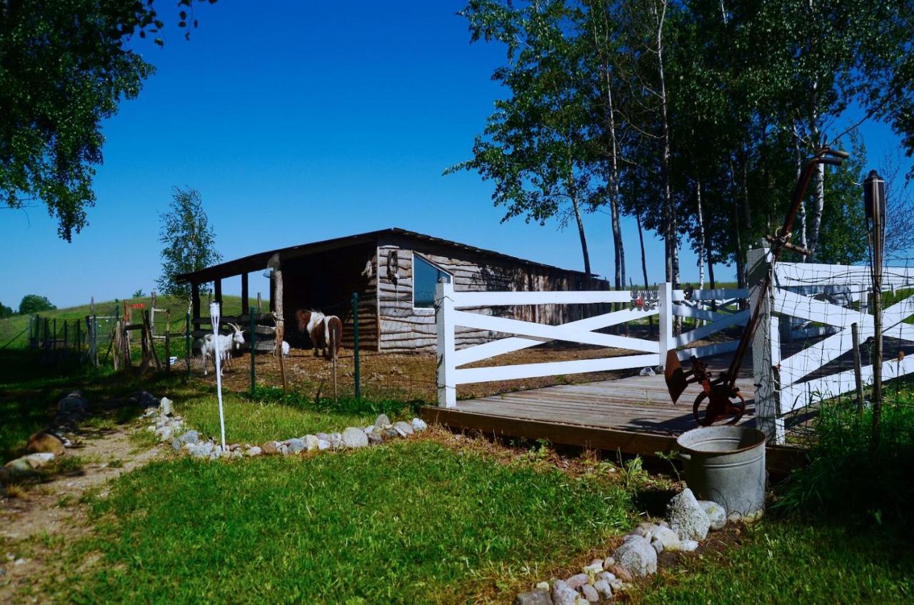 Гостевой дом Meda House Vaivadiskes Экстерьер фото